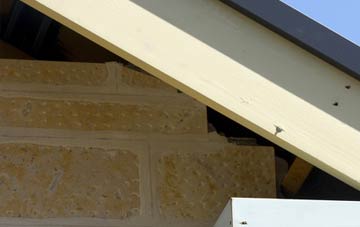 soffit repair Cadwell